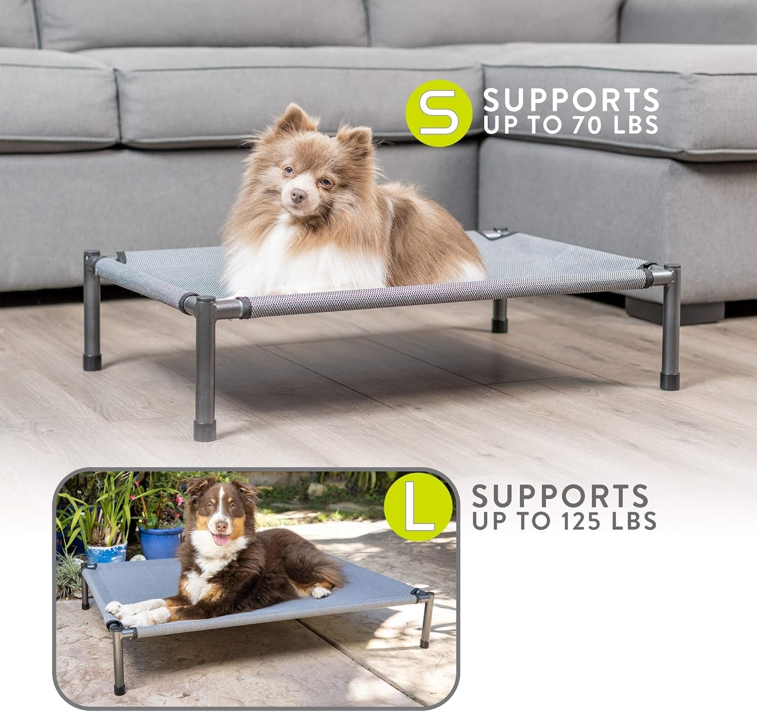 Raised Rest Deluxe Elevated Dog Bed (Outdoor Dog Bed That Has a Washable Dog Bed Cover - Great Raised Dog Bed, Small Dog Bed-Medium Dog Bed) 30" X20'X6.99 Holds 70 Lbs,Grey