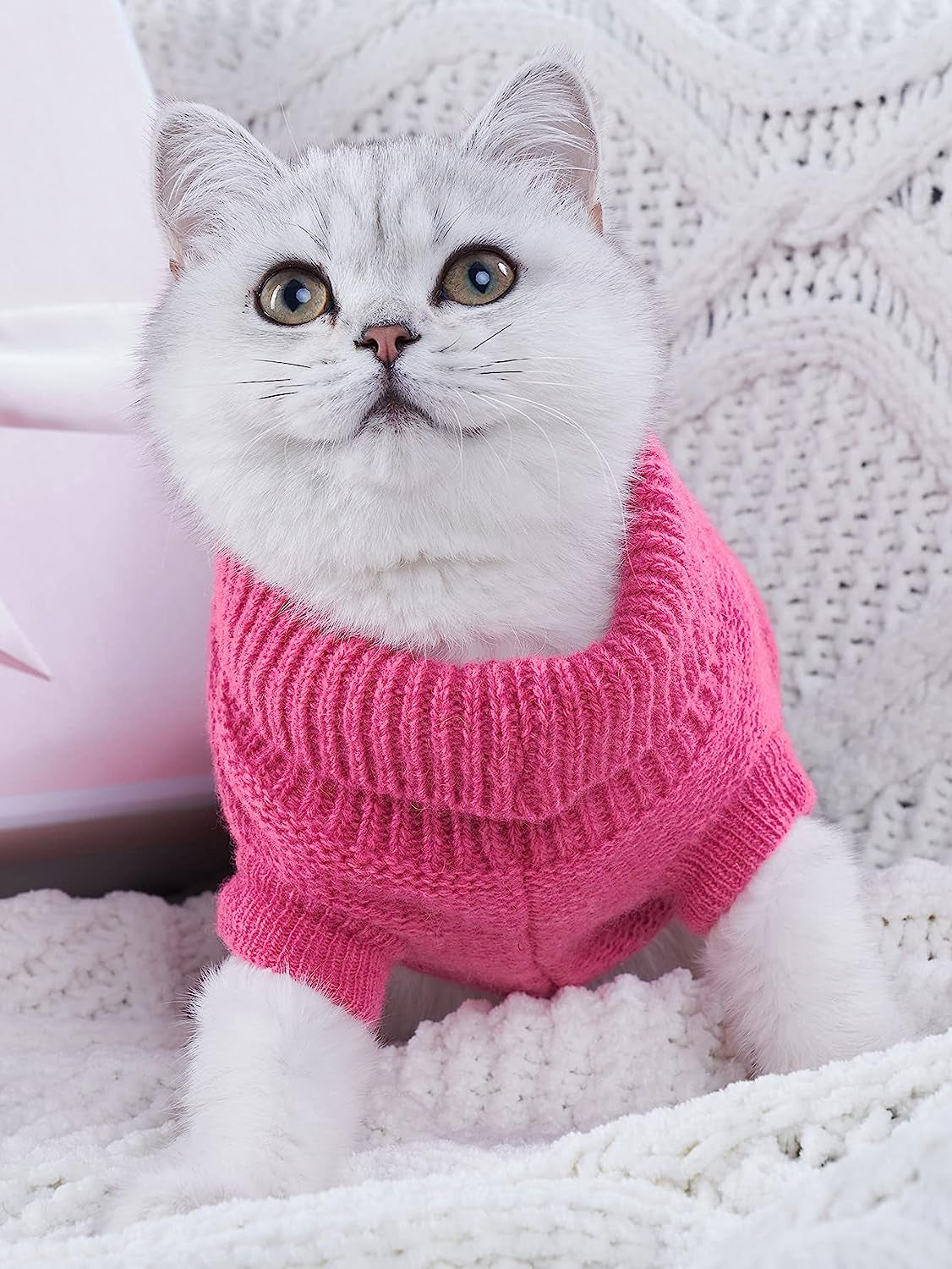 Cat Sweater Kitten Knitted Sweaters for Cats Turtleneck Sweater Warm Cat Apparel XXS Cat Clothes Girl