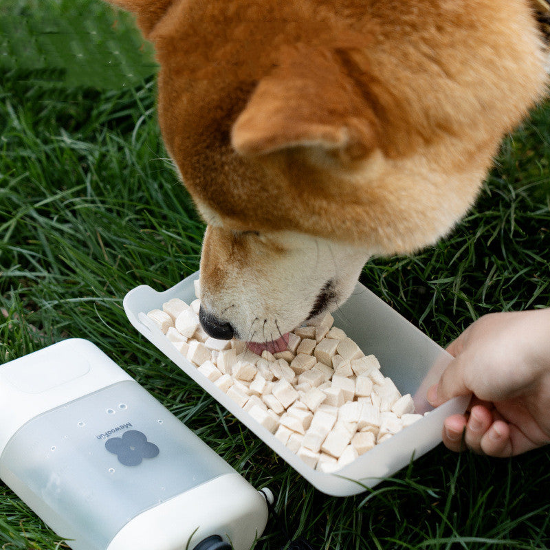 Portable Dog Outgoing Cup Walk