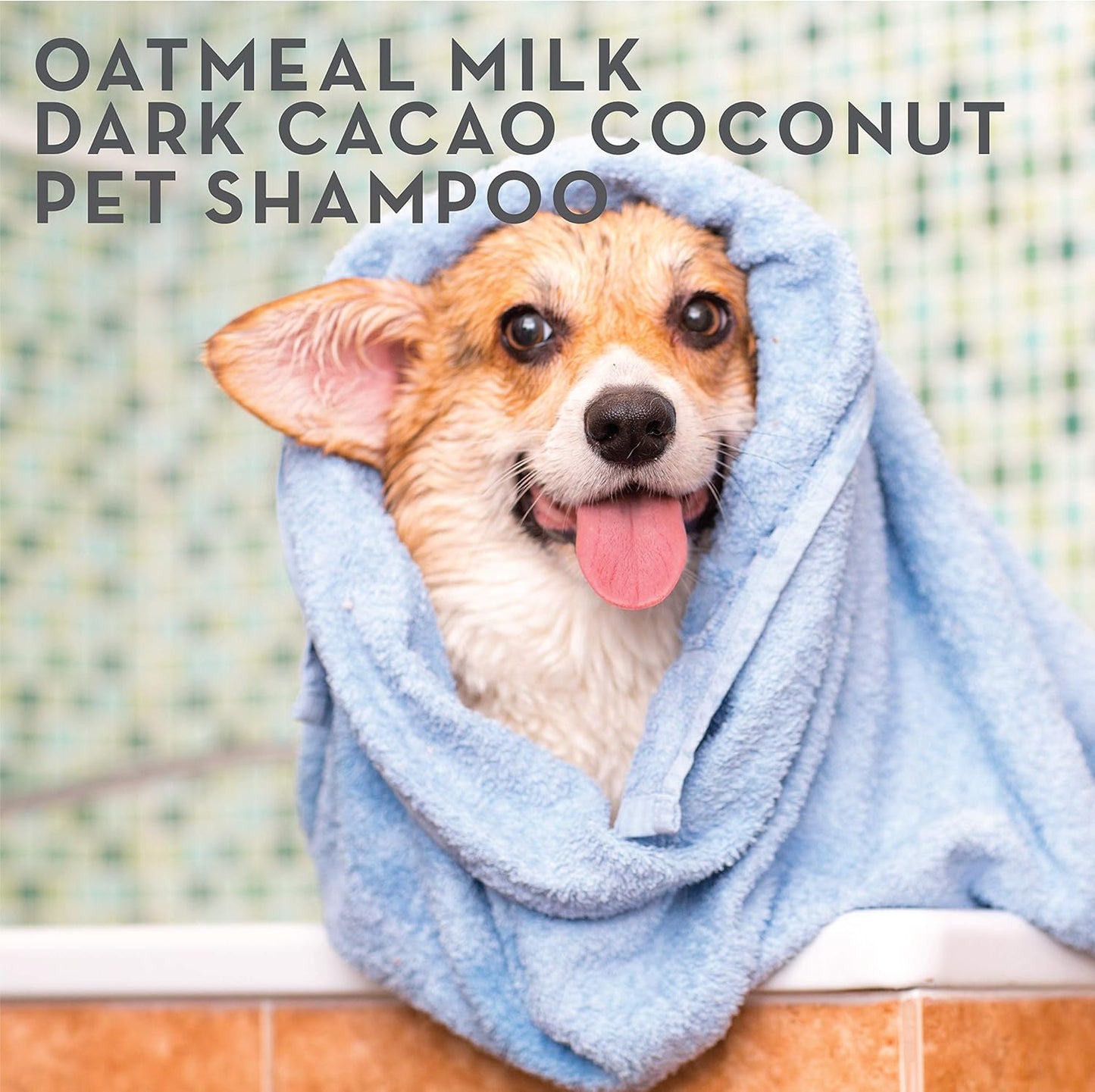 Two-Pack Dog Shampoo | Multi -Scent Pet Shampoo Bottles with Pump on Wooden Storage Tray | Dog Bathing Supplies L Oatmeal and Dark Cacao Coconut Pet Shampoo, 16.9 Fl Oz Each