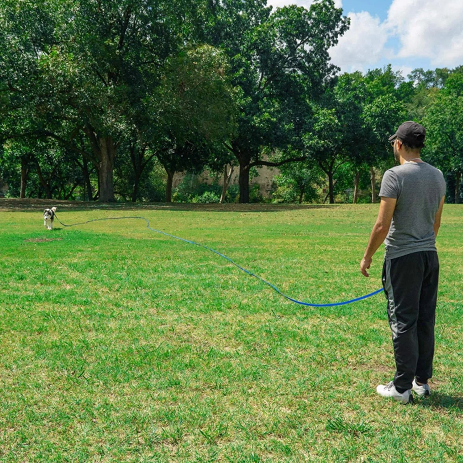 Long Dog Leash Obedience Recall Training Agility Lead - 15Ft 20Ft 30Ft 50Ft 100Ft Training Leash - Great for Training, Play, Camping, or Backyard - Black 15Ft