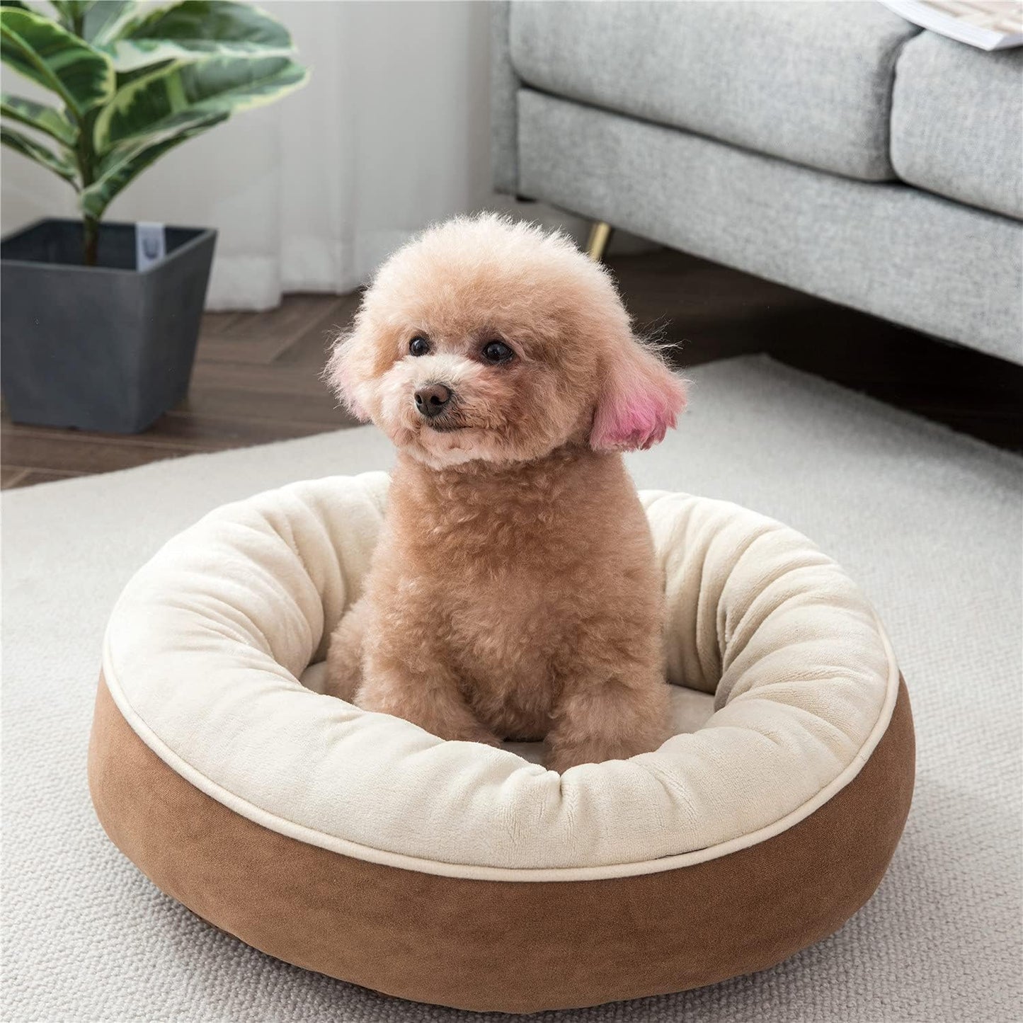 Round Bolster Dog or Cat Bed Donut Pet Bed Pet Supplies Machine Washable Pet Sofa 28X28 Brown