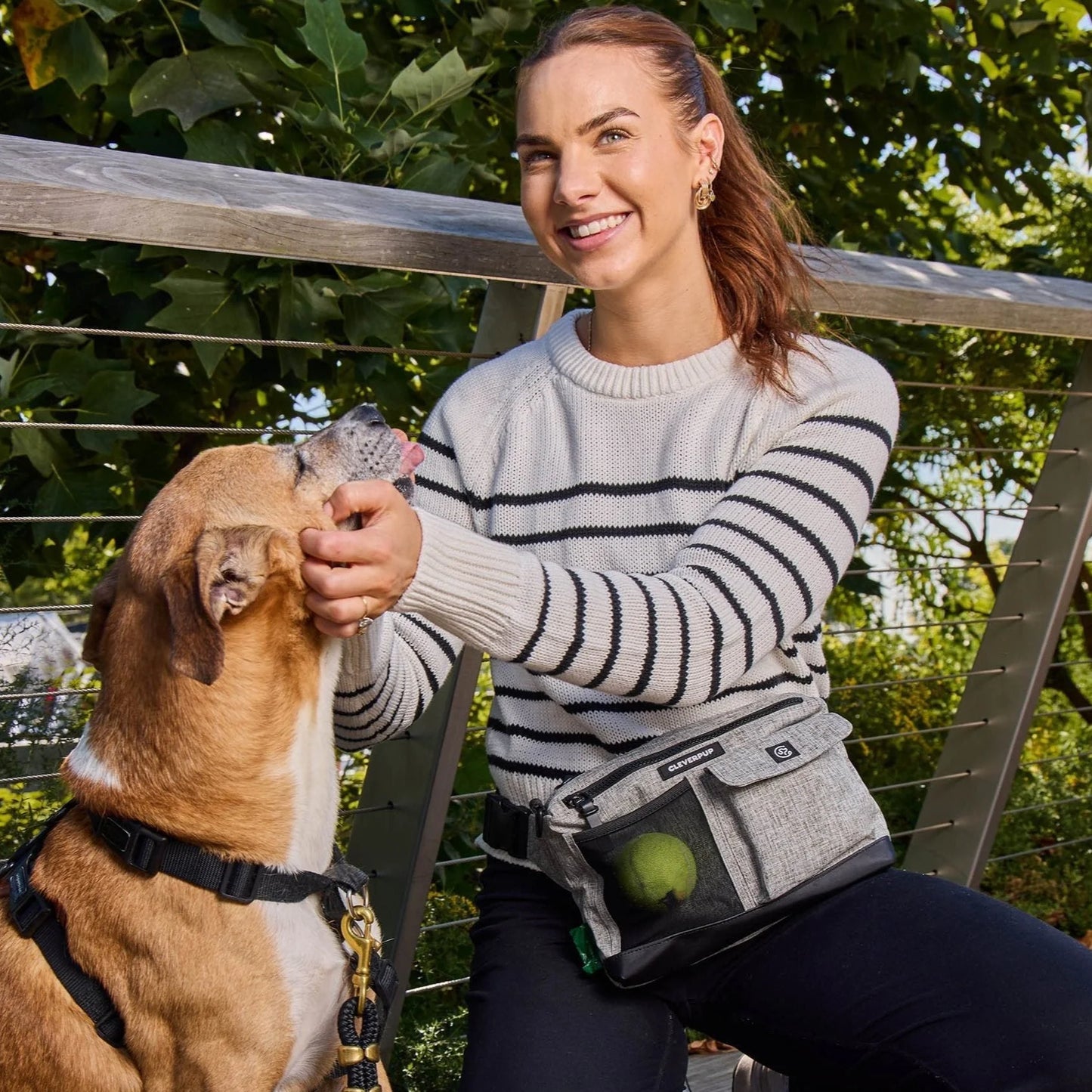 Dog Walk & Train Sling Bag