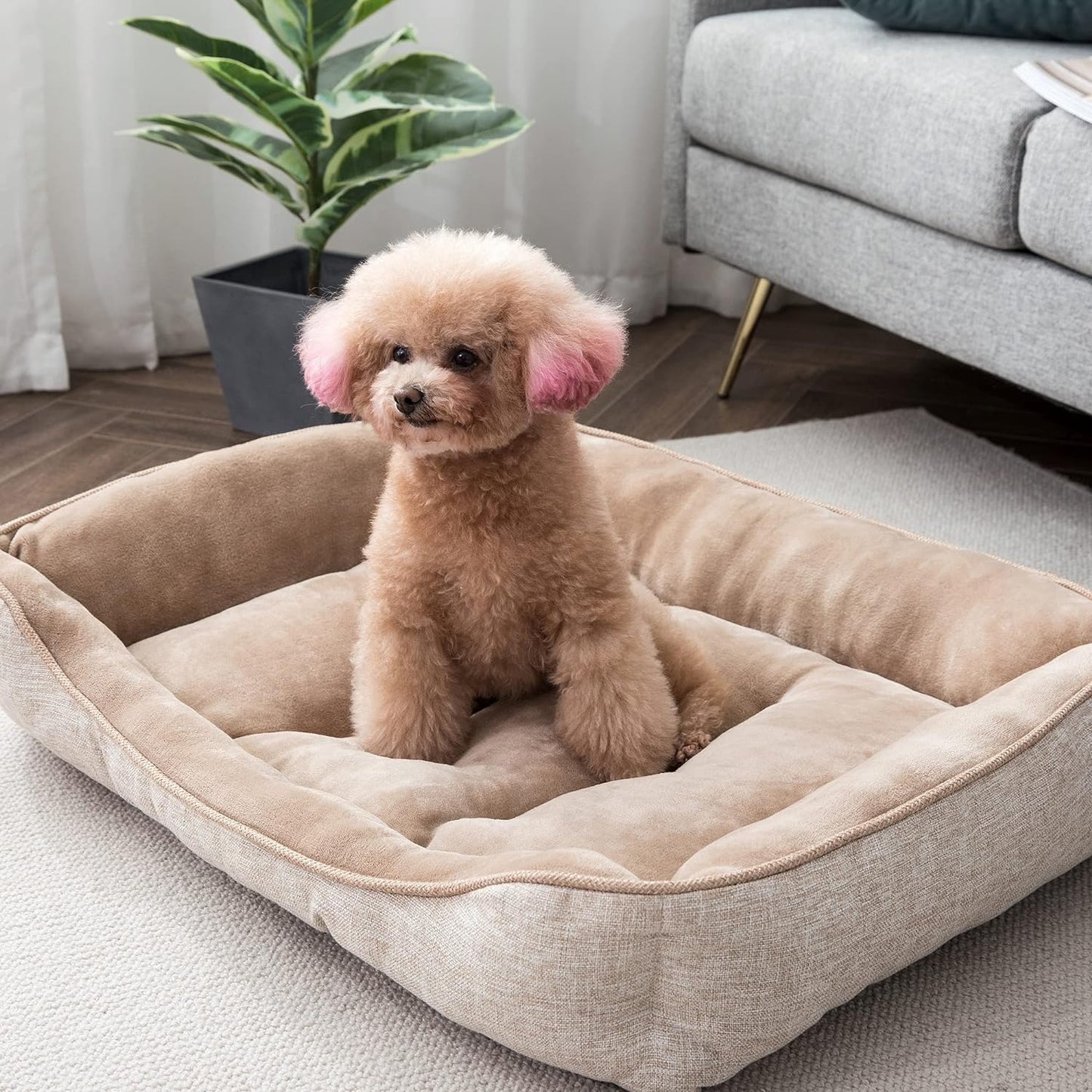 Square Dog Bed 40X30 Inches Khaki Sleeping Bed Pet Bed Pet Supplies Ultra Soft Anti-Slip and Durable Bed, Cushing for Large Dogs