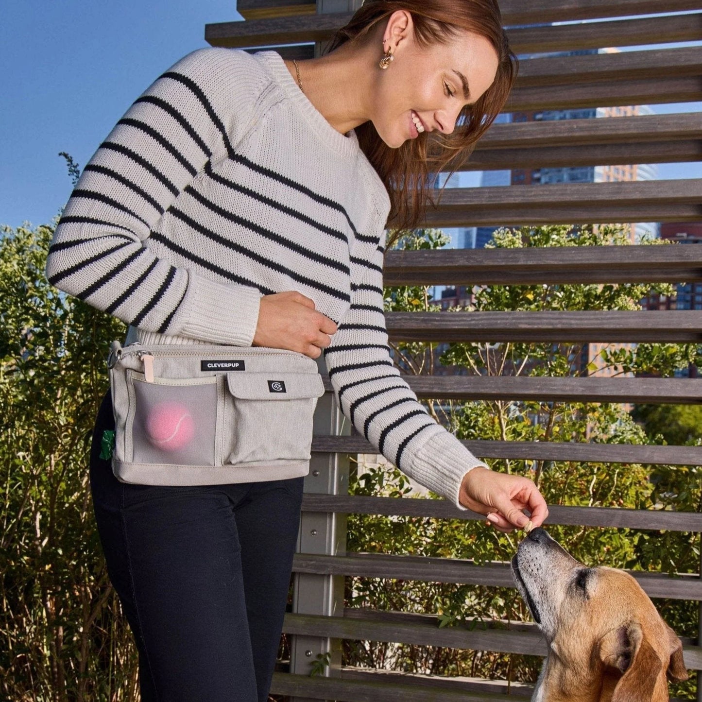 Dog Walk & Train Sling Bag