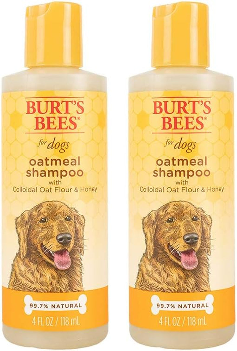 for Pets Dogs Natural Oatmeal Shampoo with Colloidal Oat Flour and Honey| Oatmeal Dog Shampoo | Soothing and Cleansing Oatmeal Shampoo for Dogs, 2 Pack