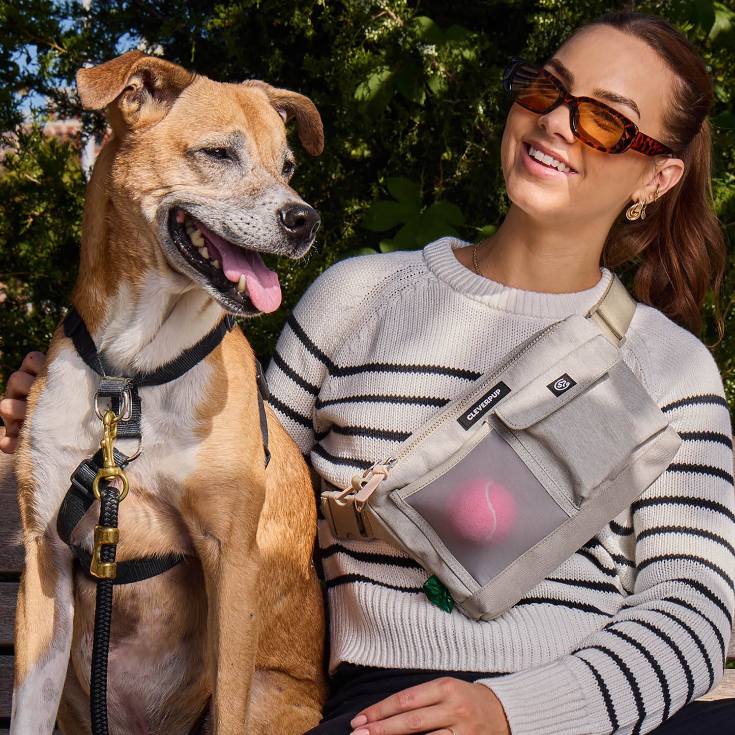 Dog Walk & Train Sling Bag