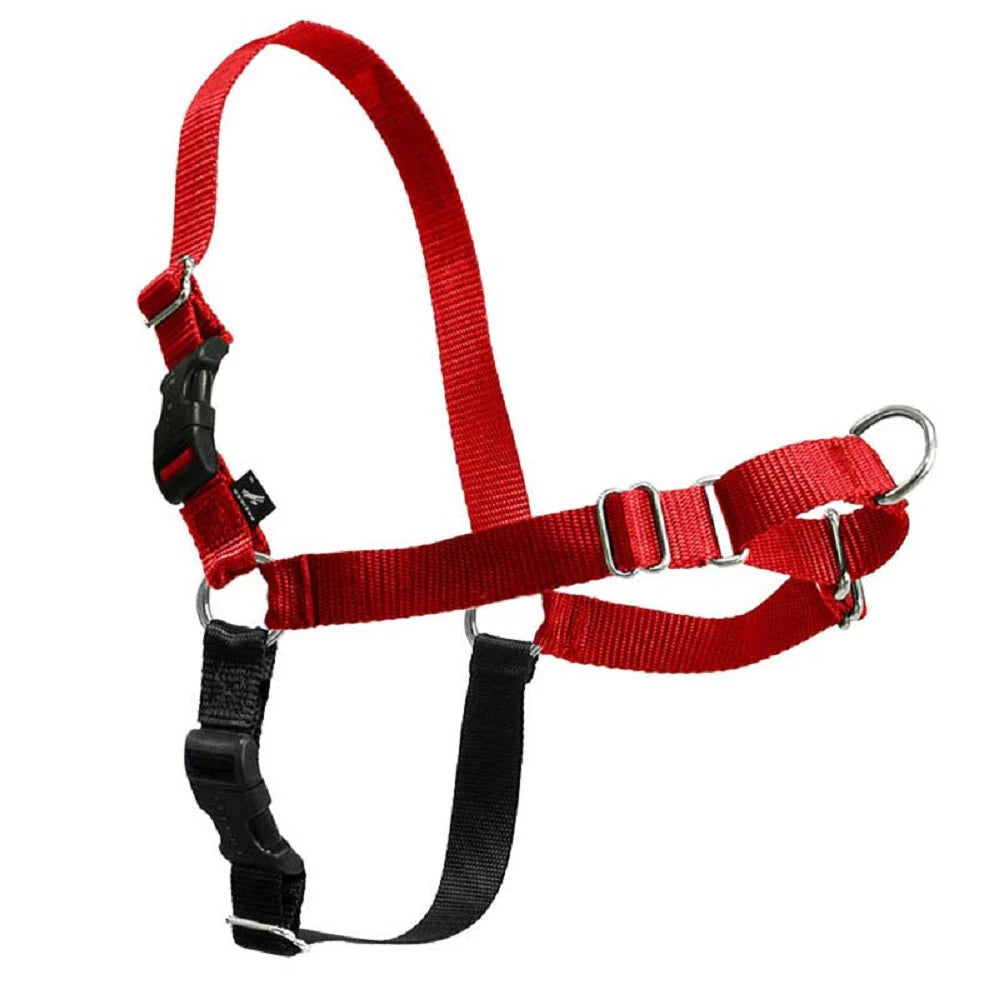 Gentle Leader Easy Walk Harness