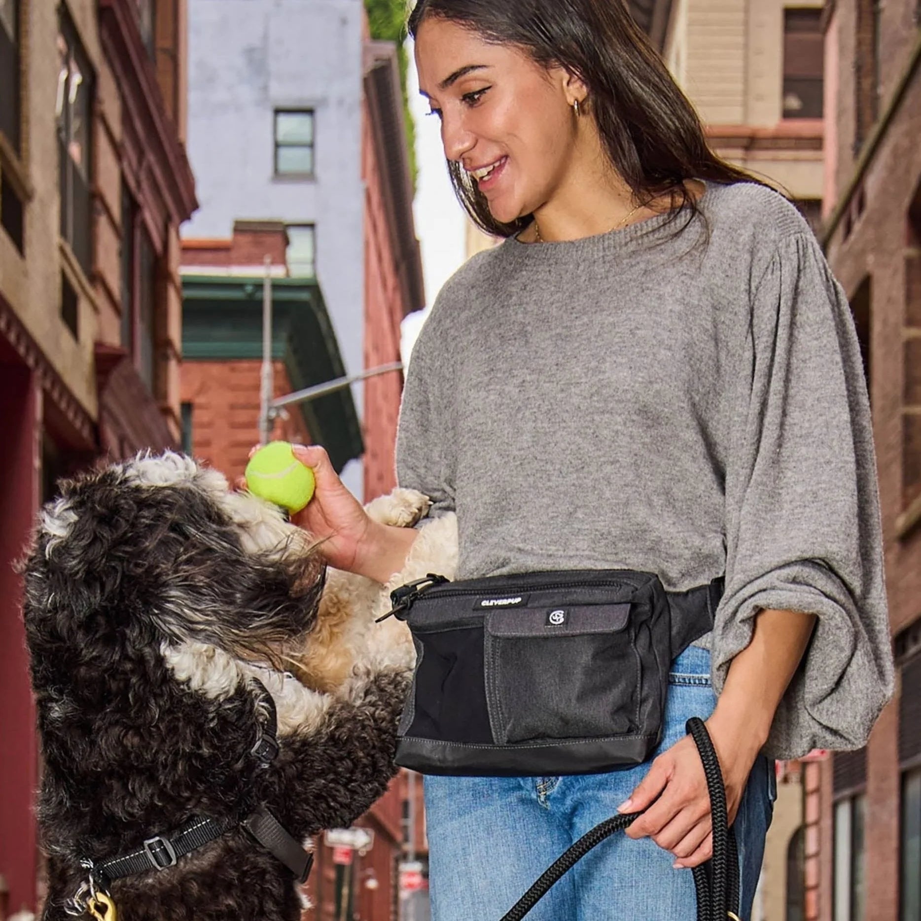 Dog Walk & Train Sling Bag