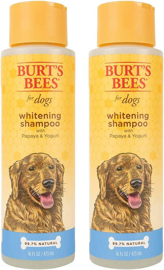 Naturally Derived Whitening Shampoo with Papaya & Yogurt - Brightening White Dog Shampoo for All Dogs, 16 Fl Oz - 6 Pack