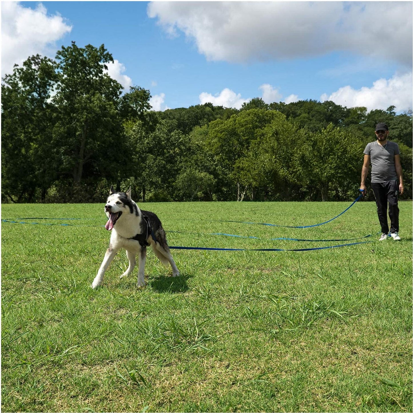 Long Dog Leash Obedience Recall Training Agility Lead - 15Ft 20Ft 30Ft 50Ft 100Ft Training Leash - Great for Training, Play, Camping, or Backyard - Black 15Ft