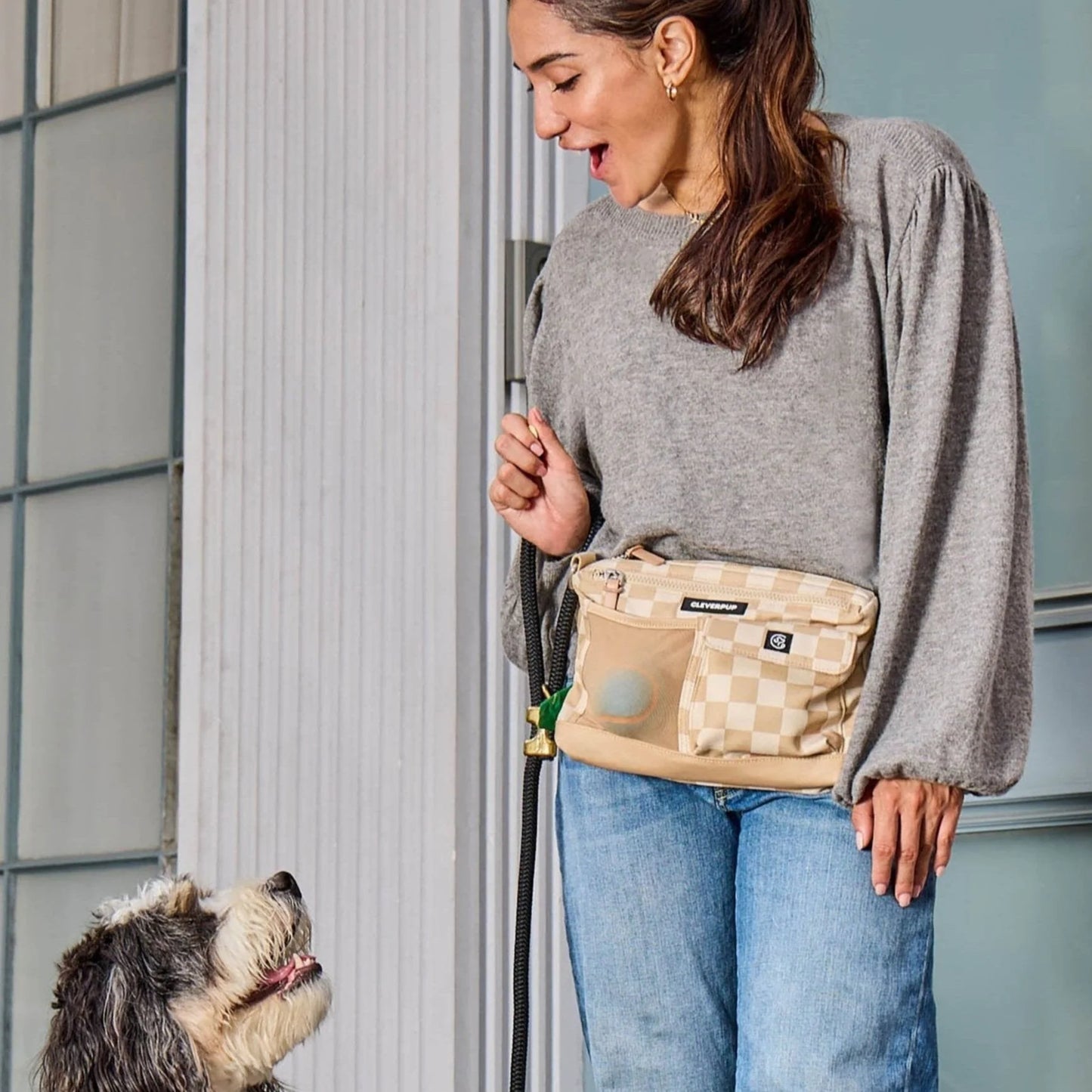 Dog Walk & Train Sling Bag