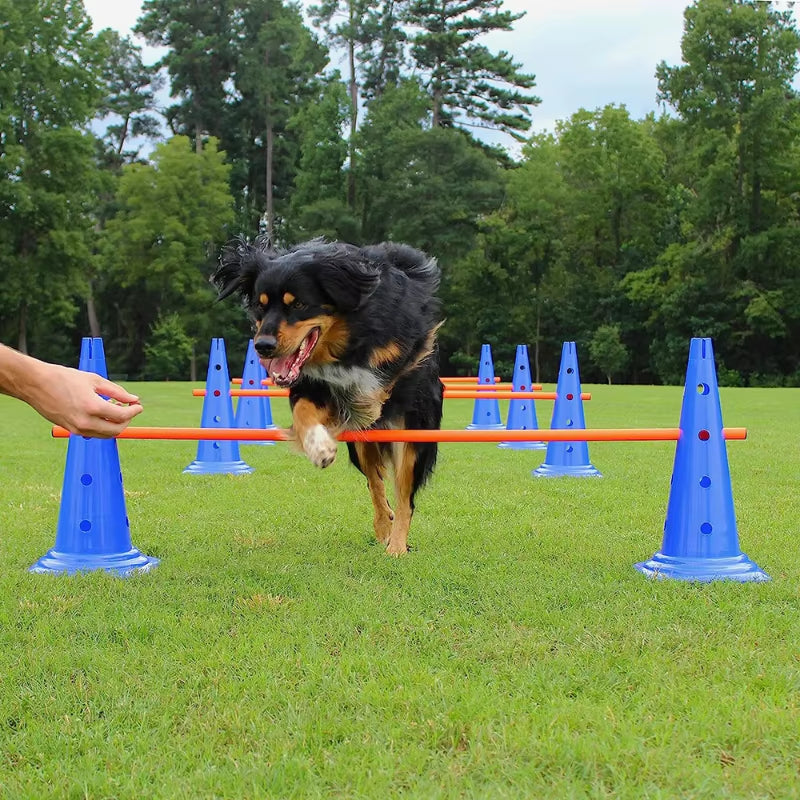 Pet Agility Training Set Jumping Bar Dog Obstacle Training Equipment Hurdle Training Dog Training Device Pet Supplies