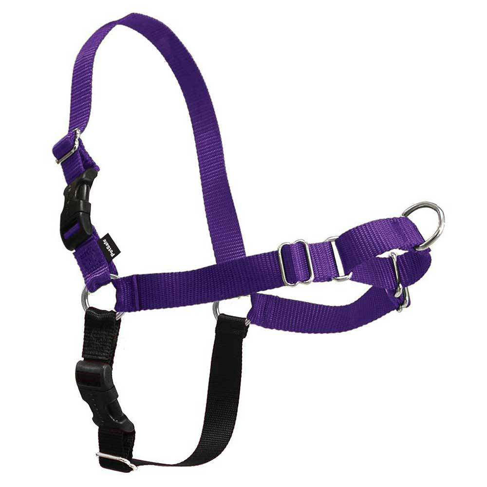 Gentle Leader Easy Walk Harness