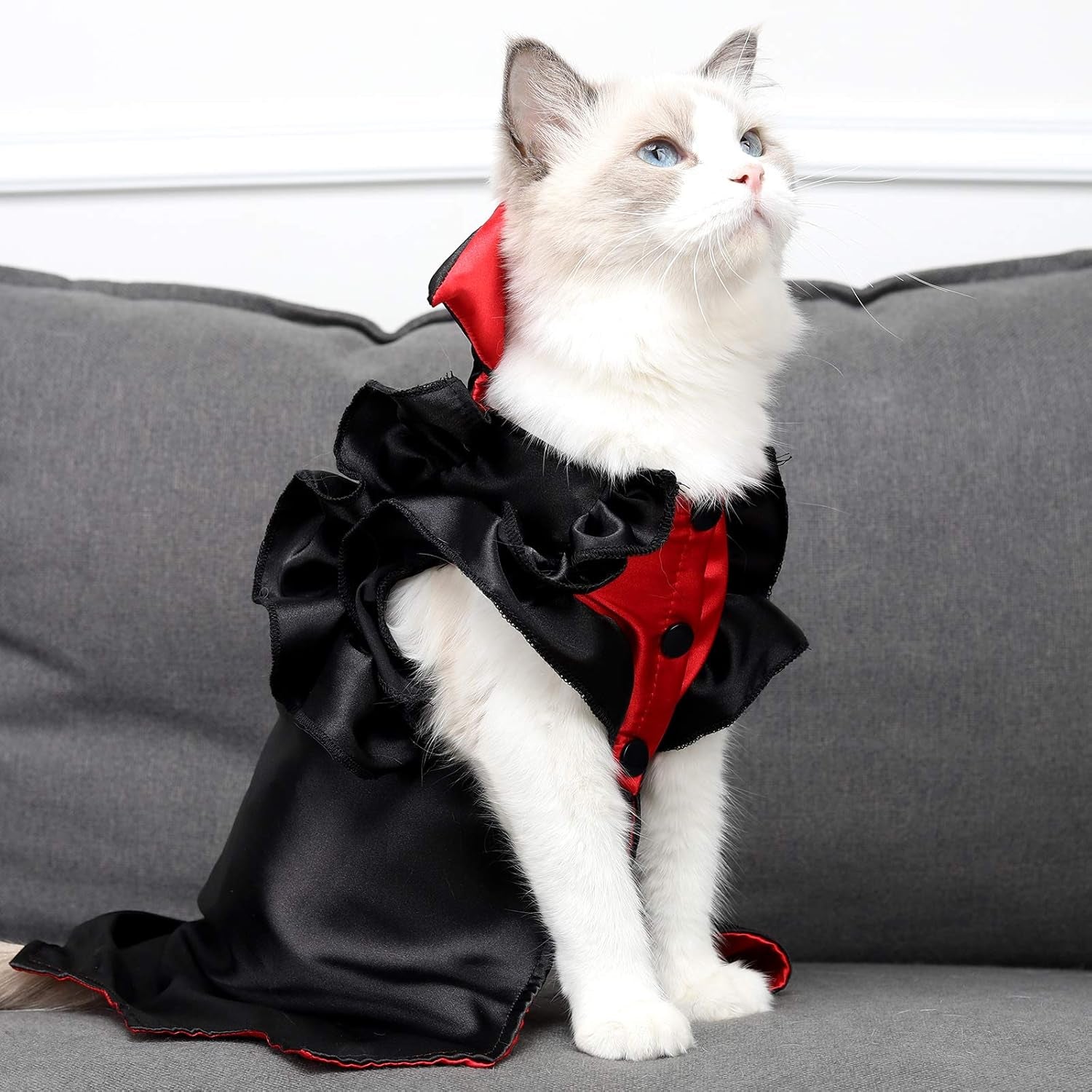 Dog Costume Cat Vampire Halloween Costume Holiday Dressing up Cloak with Button for Kitten Small Dog Medium Outfit Cosplay Decoration Party Suit