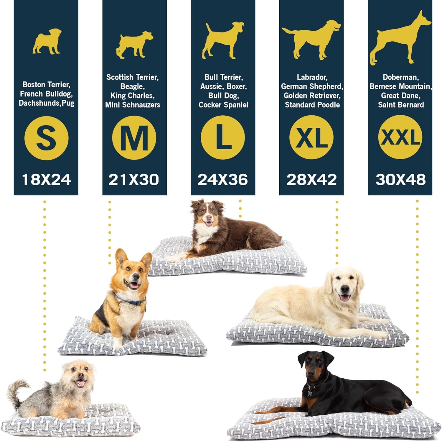 Bone Designed Dog Mat, Dog Bed & Crate Mat (Plush & Versatile Washable Dog Bed Perfect Dog Crate Mat and Calming Dog Bed) Large Dog Bed Size Measures 24" X 36"