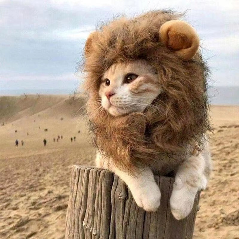 Cute Lion Mane Wig Cosplay Clothes Pet Costumes Hat Fancy Lion Hair Cat Clothes Dress up Funny Pet Cosplay Wig Caps Supplies