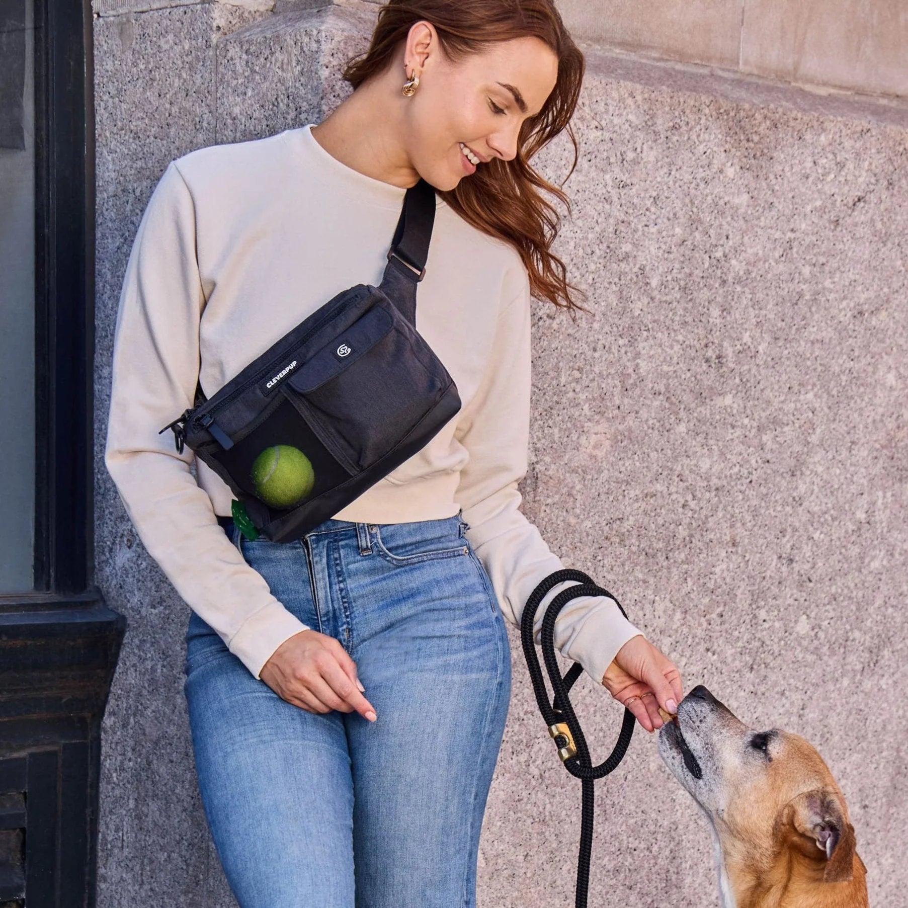 Dog Walk & Train Sling Bag