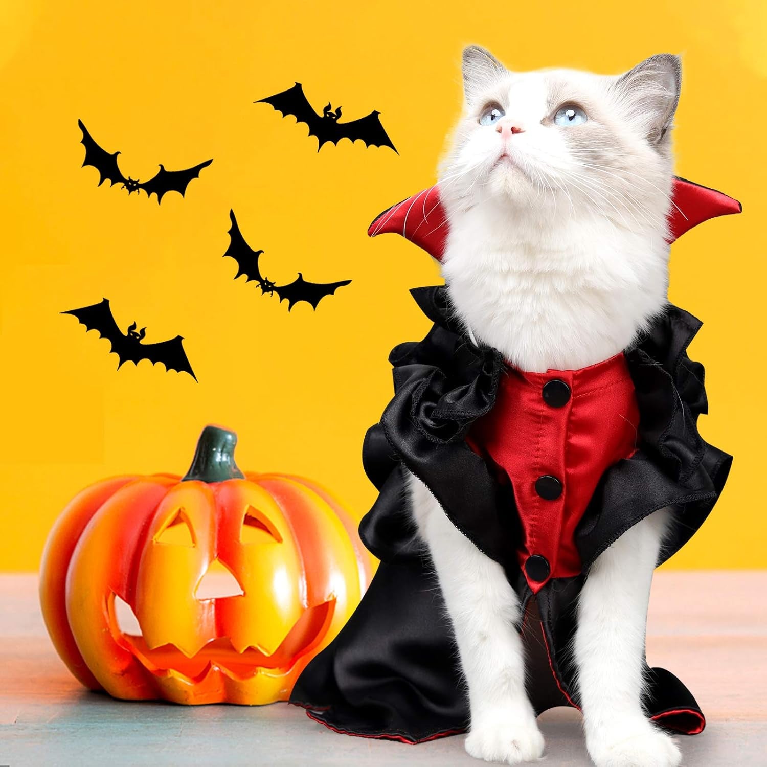 Dog Costume Cat Vampire Halloween Costume Holiday Dressing up Cloak with Button for Kitten Small Dog Medium Outfit Cosplay Decoration Party Suit