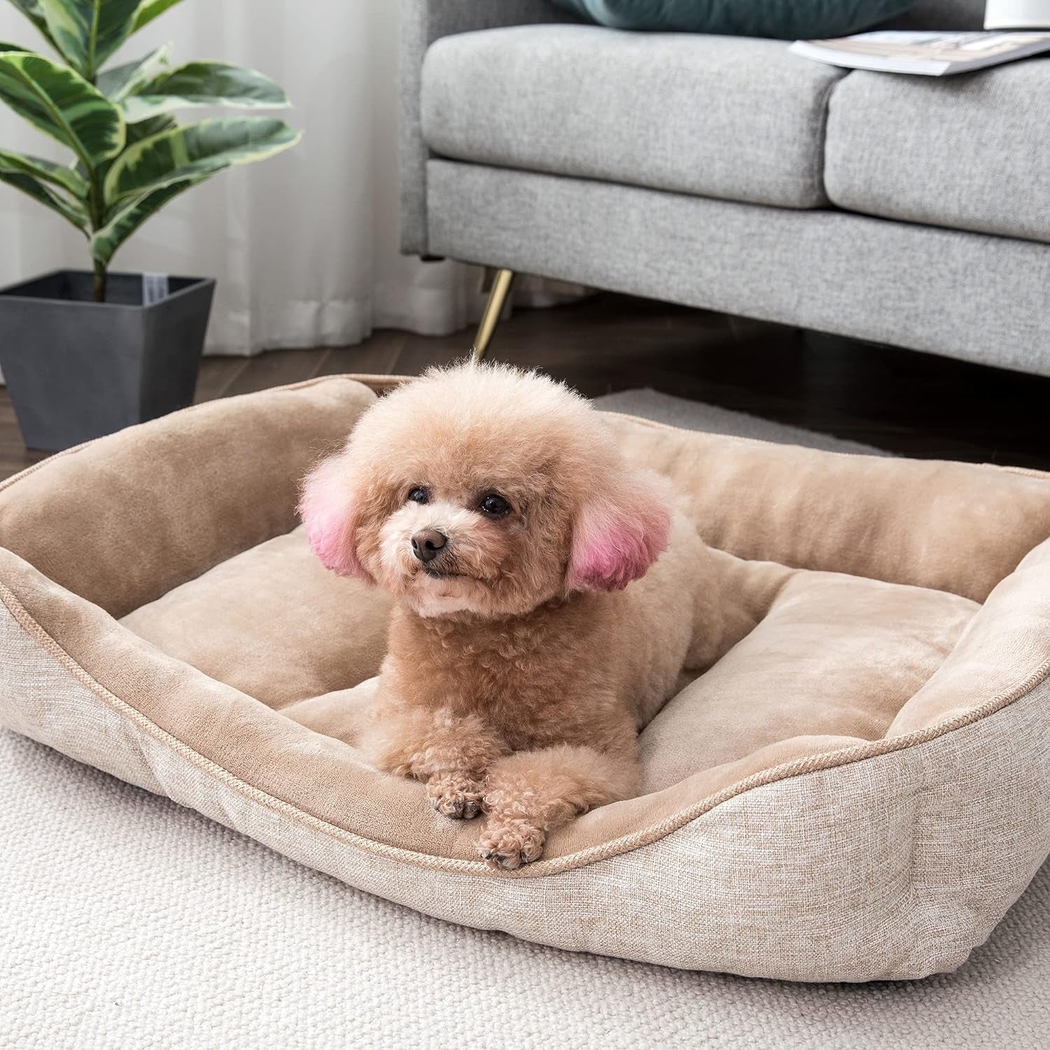 Square Dog Bed 40X30 Inches Khaki Sleeping Bed Pet Bed Pet Supplies Ultra Soft Anti-Slip and Durable Bed, Cushing for Large Dogs