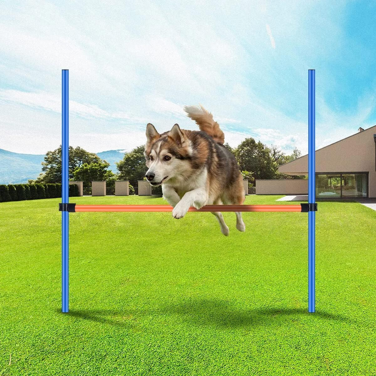 Dog Training Exercise Equipment,Dog Agility Training Equipment,Dog Jump Hurdles Training Equipment,Playground Equipment Outdoor