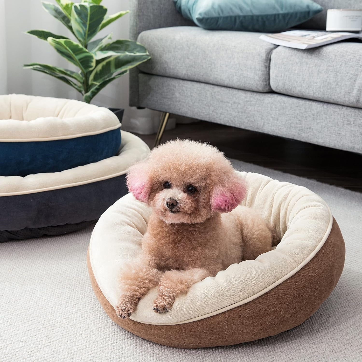 Round Bolster Dog or Cat Bed Donut Pet Bed Pet Supplies Machine Washable Pet Sofa 28X28 Brown