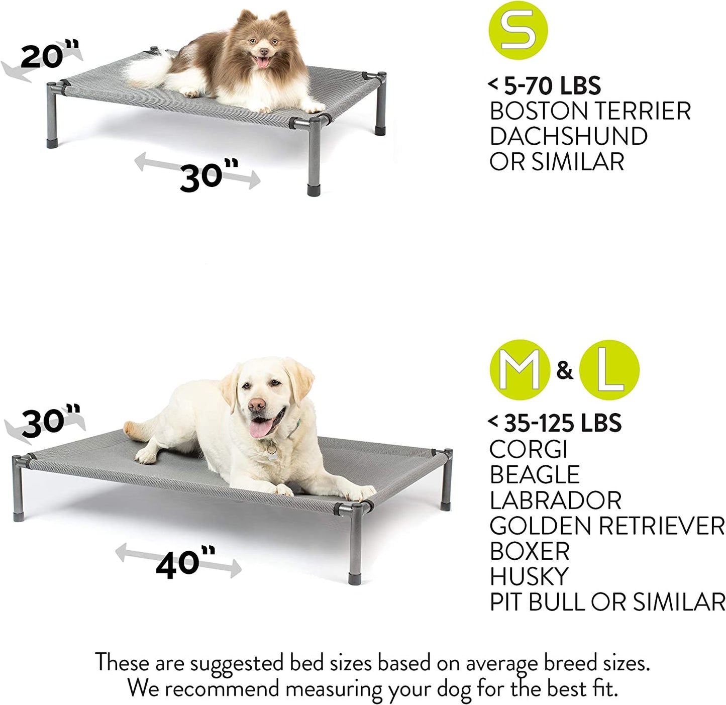 Raised Rest Deluxe Elevated Dog Bed (Outdoor Dog Bed That Has a Washable Dog Bed Cover - Great Raised Dog Bed, Small Dog Bed-Medium Dog Bed) 30" X20'X6.99 Holds 70 Lbs,Grey