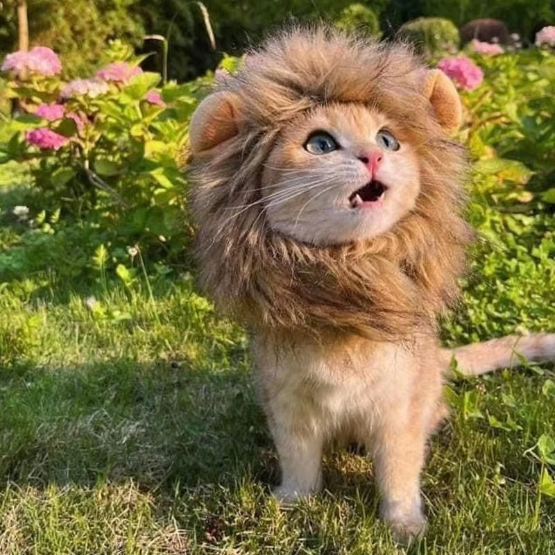 Cute Lion Mane Wig Cosplay Clothes Pet Costumes Hat Fancy Lion Hair Cat Clothes Dress up Funny Pet Cosplay Wig Caps Supplies